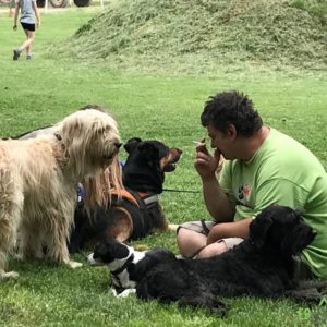 32416408_1012740552212831_486642729762160640_n