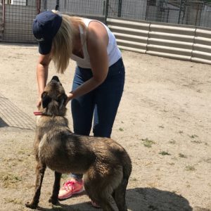 32423246_1490402317751961_3839927743055659008_n