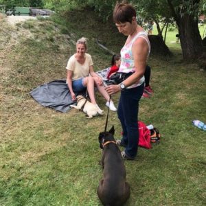 32440552_1012739735546246_2163514433043693568_n