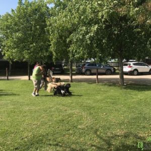 32440661_1012741008879452_7542753421284081664_n