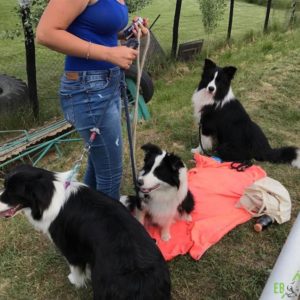 32454855_1012739885546231_3712685574520307712_n