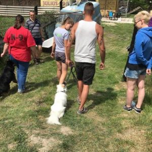 32472117_1012738865546333_1907213367756455936_n