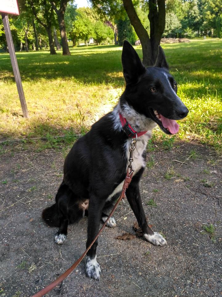 33714942_1020223698131183_4967027225674121216_n