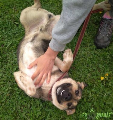 34048646_1021770057976547_7708613079591813120_n