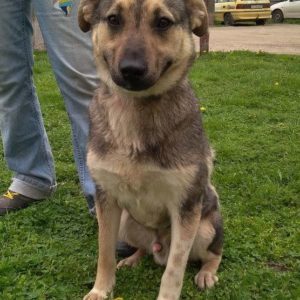 34162094_1021770101309876_7504490107399831552_n