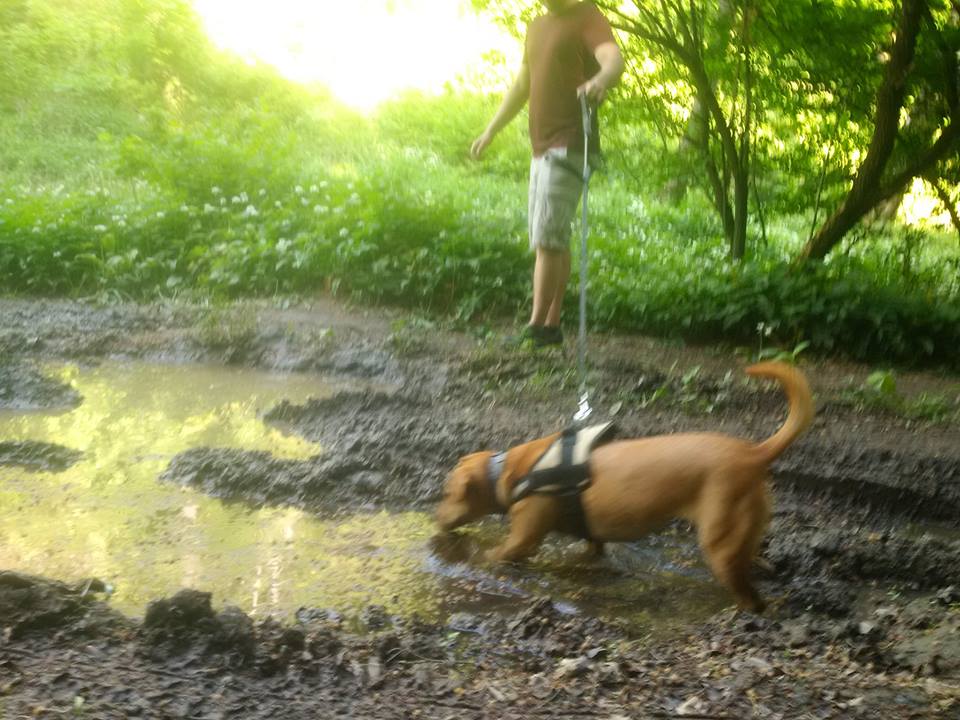 33764364_1020238048129748_319835837892132864_n