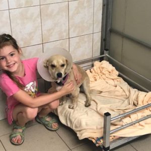 34387264_1023722137781339_6126666931010273280_n