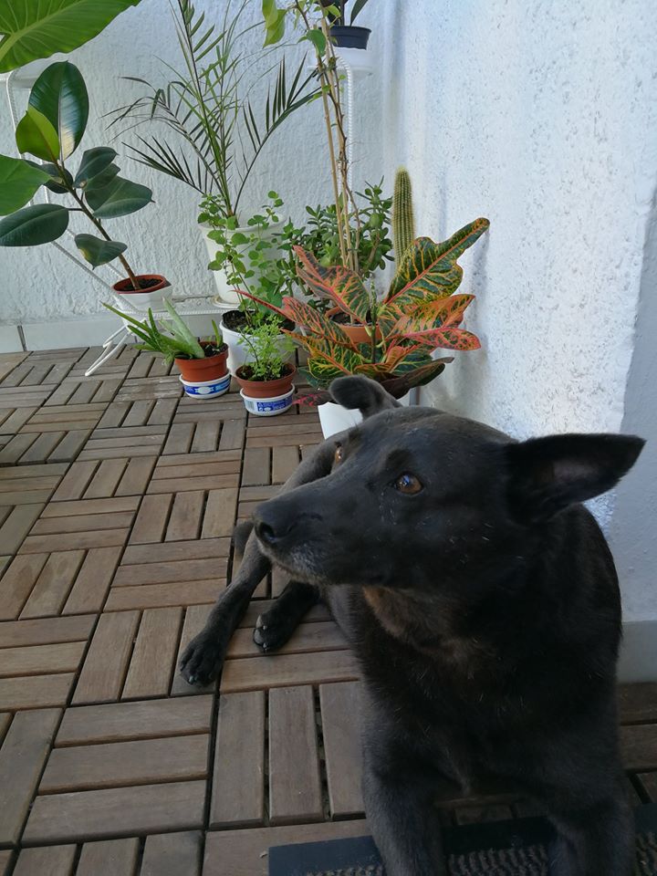 36026802_1041806112639608_8006479588534255616_n