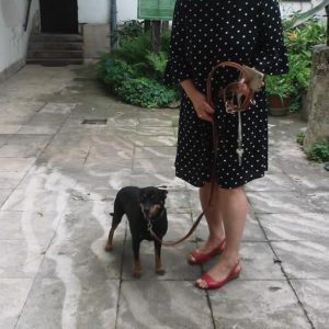 36224508_1042672575886295_5504158670390296576_n