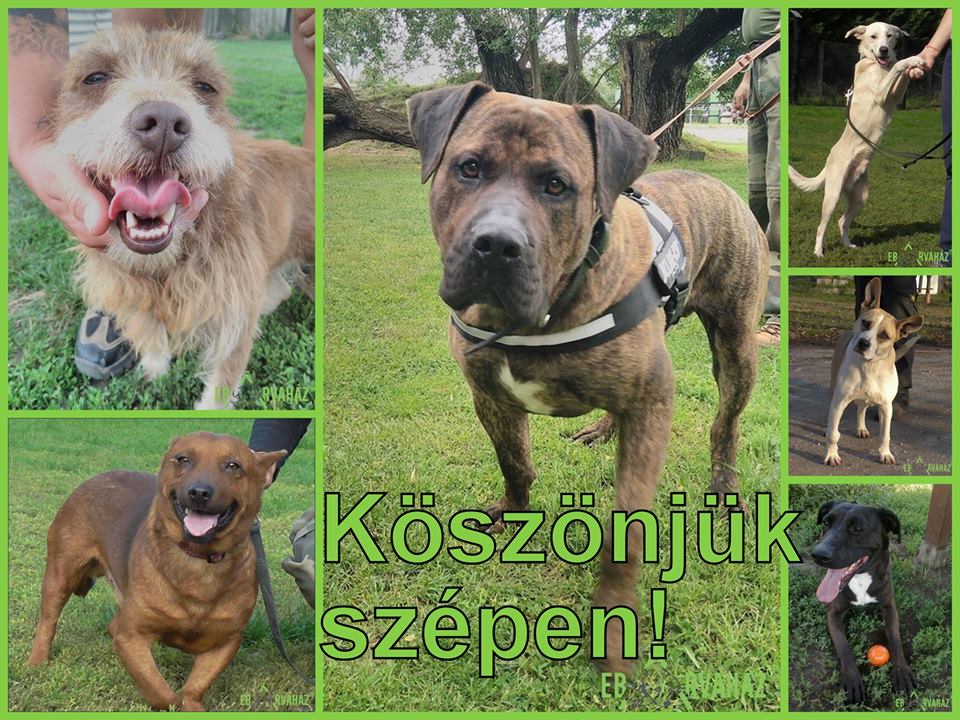 36648281_1050680055085547_1976802373506433024_n