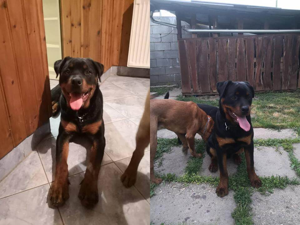 38119938_1078545602298992_8005595911898005504_n