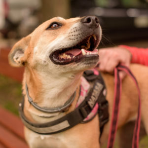 15_Ebarvahaz_fotozas (111 of 340)