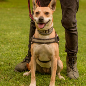 15_Ebarvahaz_fotozas (131 of 340)