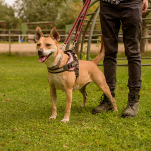 15_Ebarvahaz_fotozas (143 of 340)