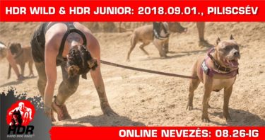 36274049_1799118803464920_5427528087233363968_o