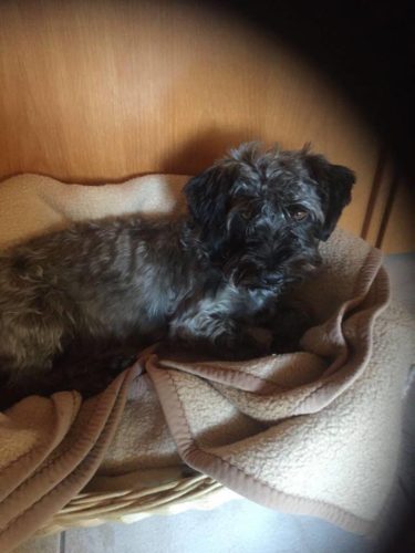 39118597_1093767567443462_2375871965643669504_n