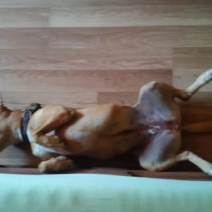 39753198_1104429993043886_5988658404745281536_n