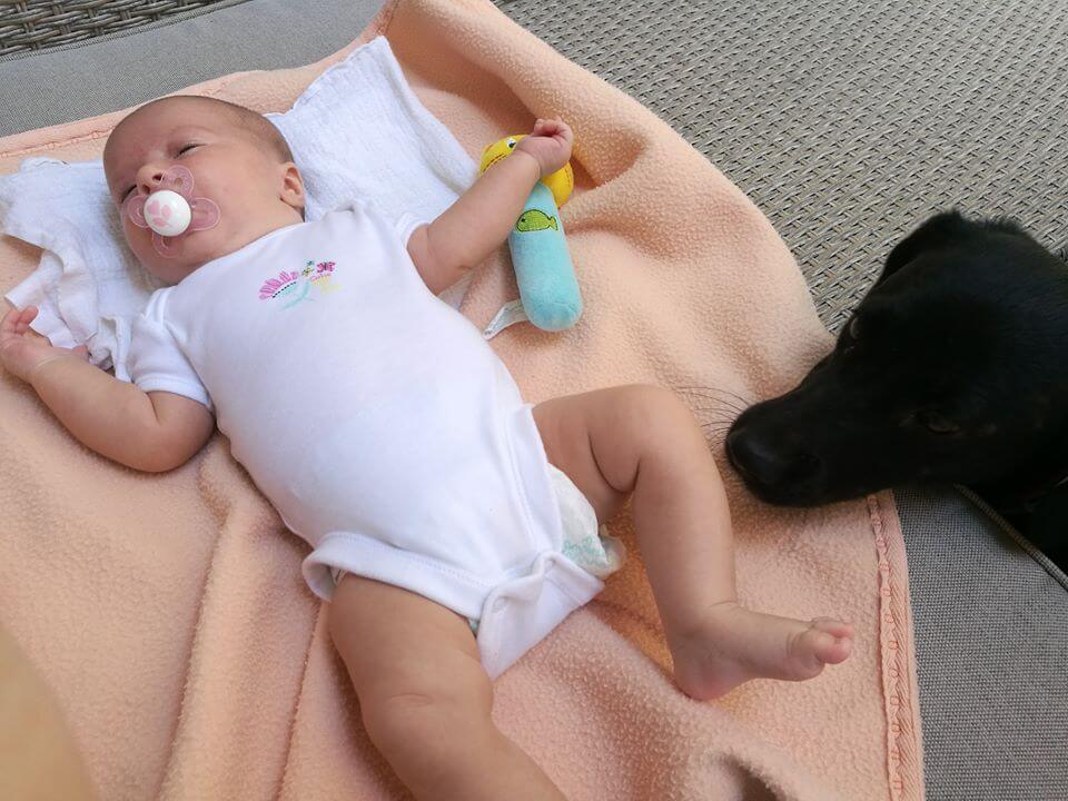 39891510_1105556932931192_5615023415661428736_n