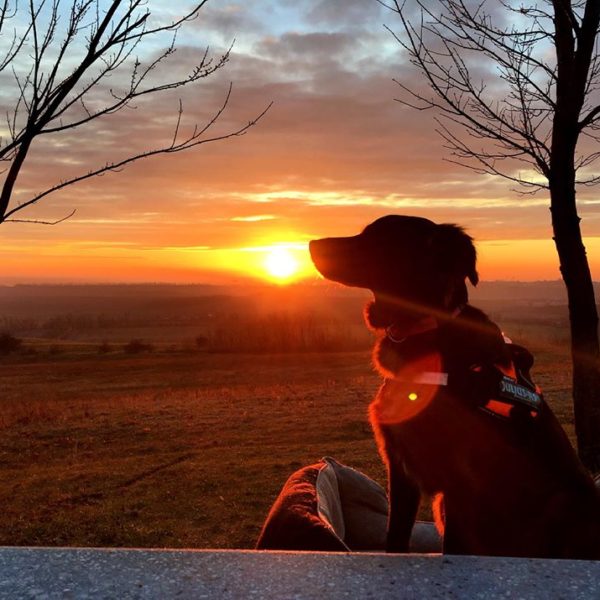 41861715_1121685314651687_1893395946864115712_n