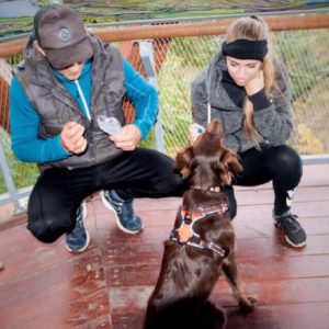 41991329_1121685207985031_3632340785250172928_n