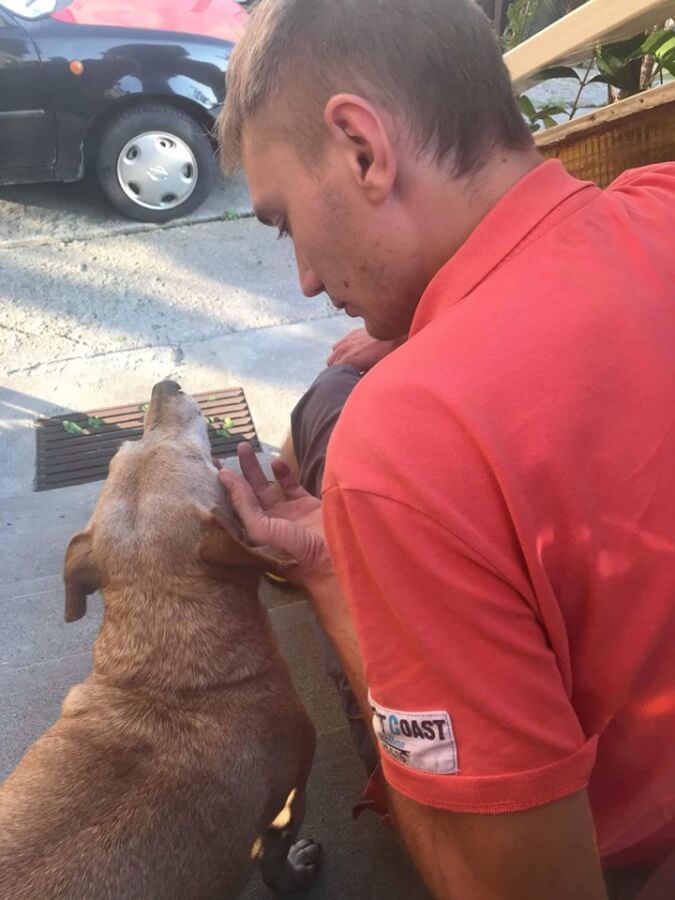 42088815_1122839611202924_4386782598592987136_n