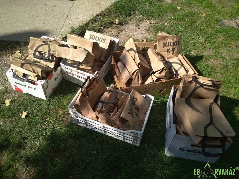 42179596_1122295864590632_6064142626771173376_n