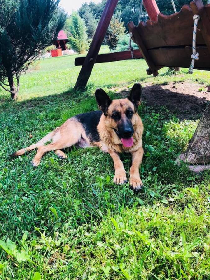 42206682_1123342644485954_9050750004079099904_n