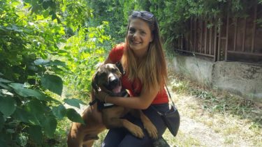 42488903_1125682320918653_2151113324861849600_n