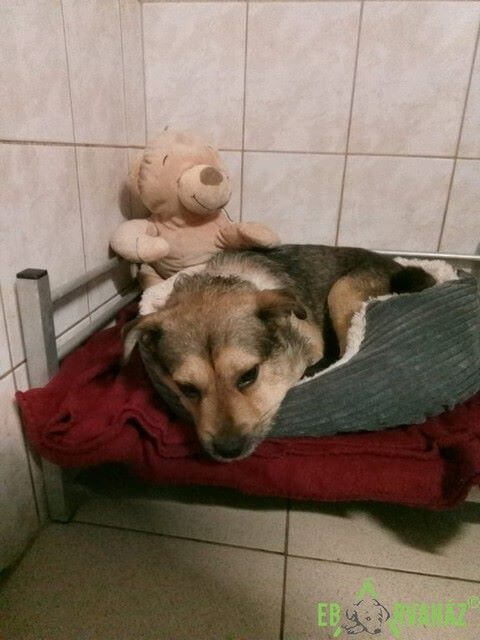 42512547_1126296594190559_7437257990723338240_n (1)