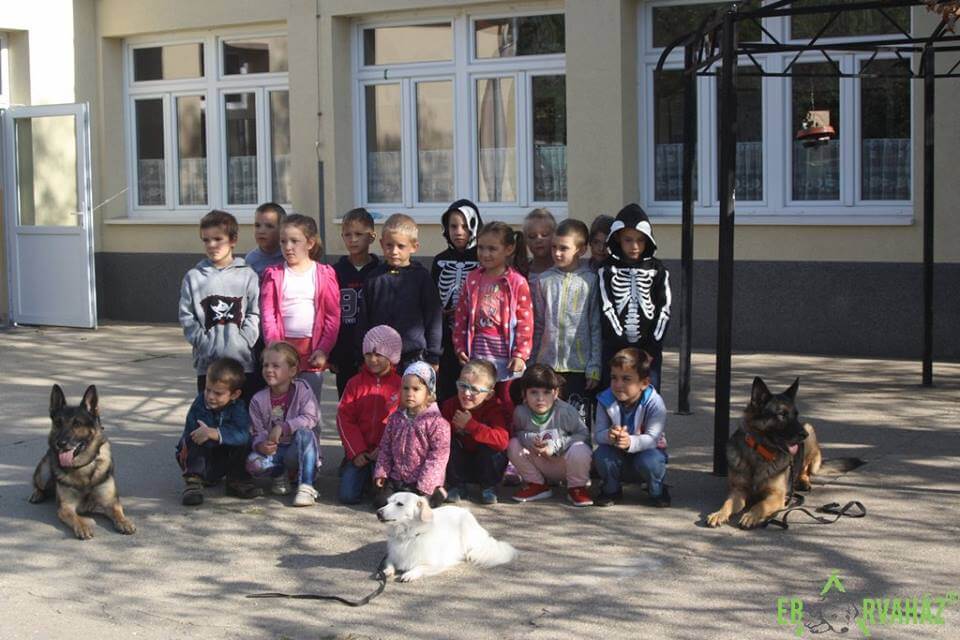 43070561_1130955877057964_4603814717763354624_n