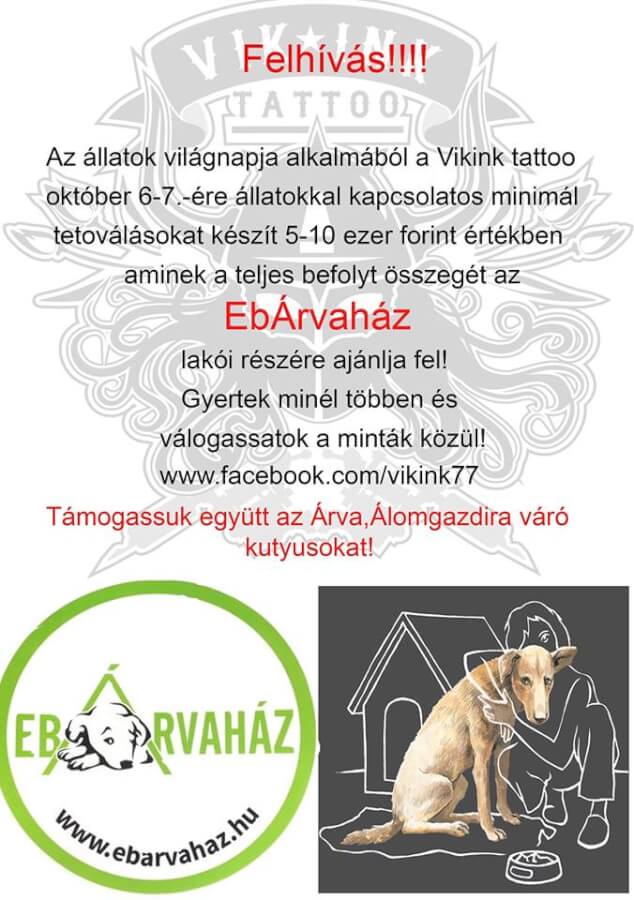 43599445_1133247093495509_7197083853322715136_n