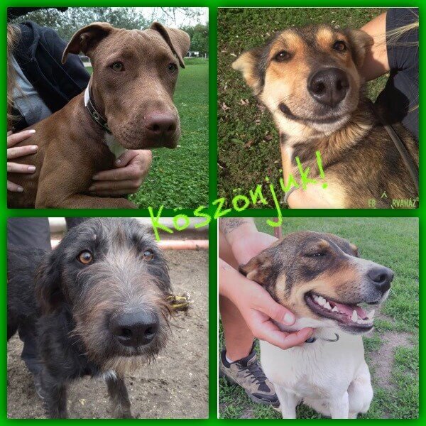 Köszönjük szeptember