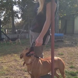 Roxy4 Roxy4