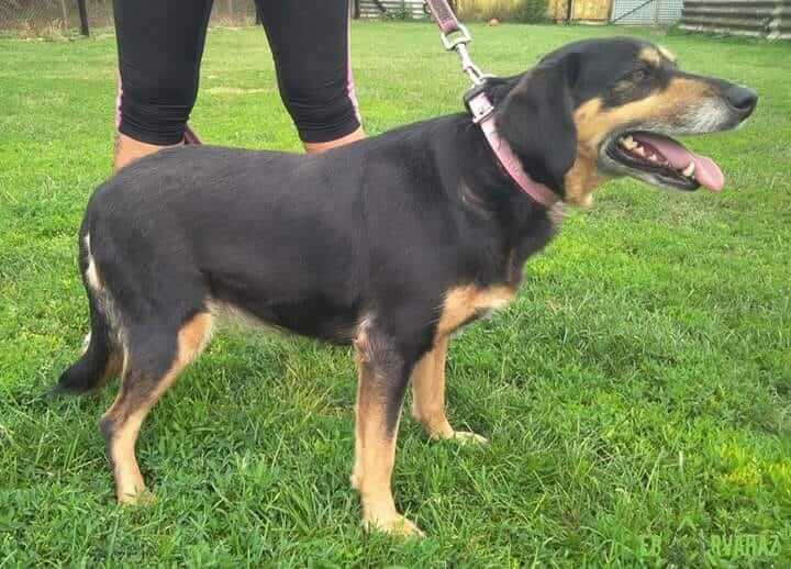 45344817_1158616194291932_5799570412249546752_n