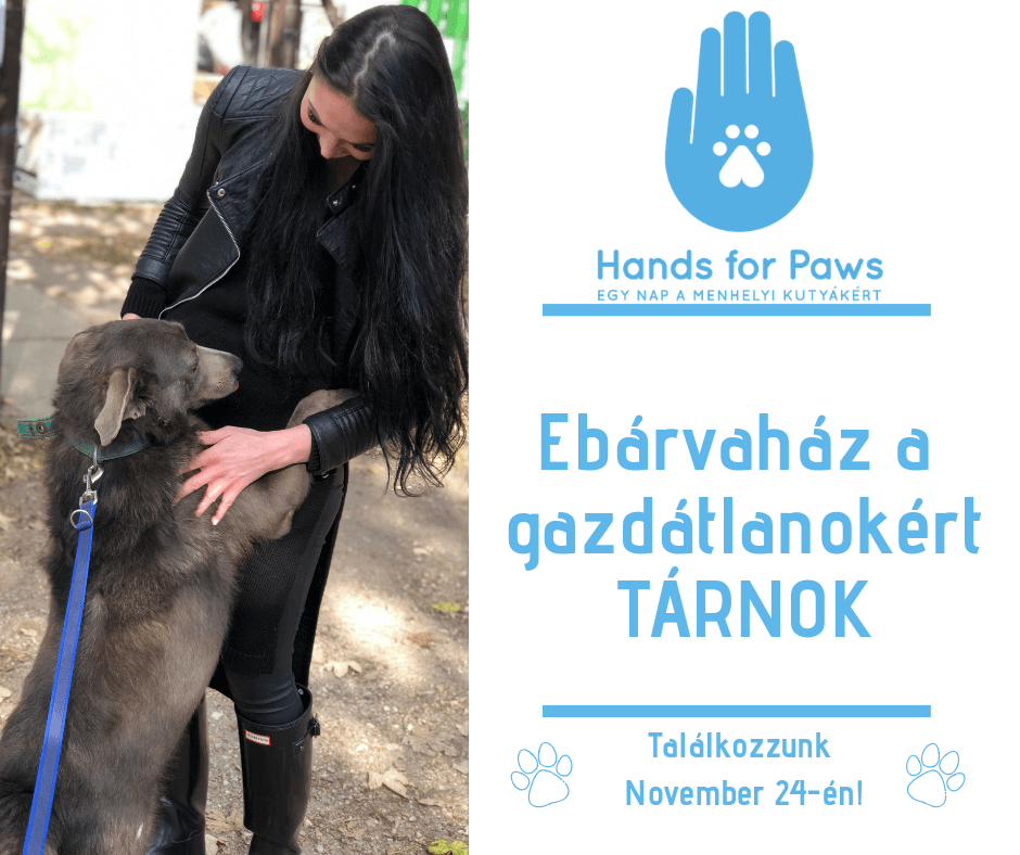 45763792_504310509979193_5100590100010500096_n