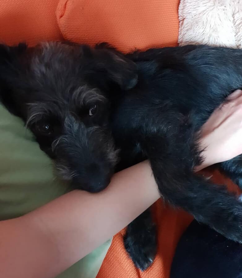 IMG_20181109_221151_828 (002)