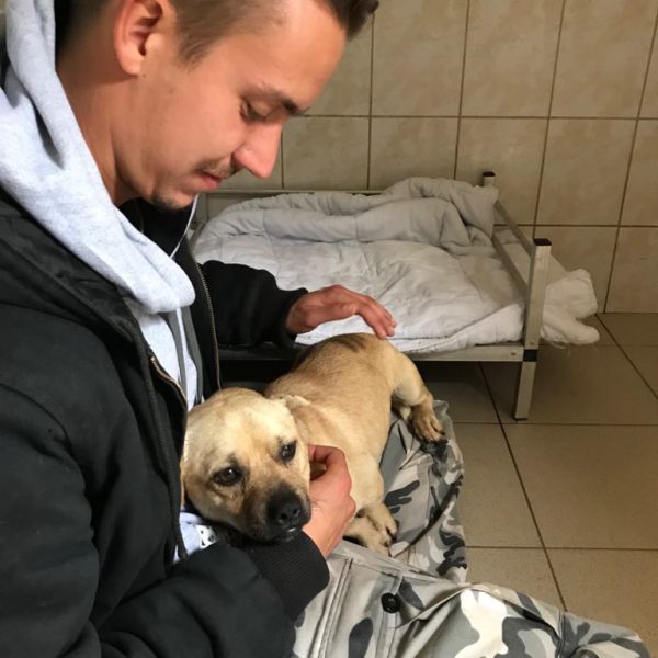 Ózdi kutyák1 Ózdi kutyák1