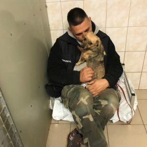 Ózdi kutyák2 Ózdi kutyák2