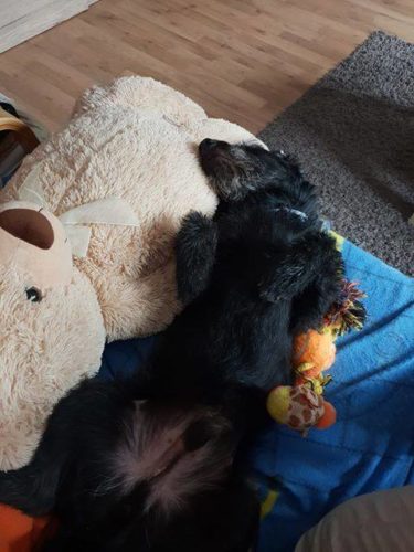 47261140_1178420435644841_2612779166235361280_n