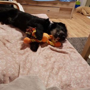 47300129_1178420342311517_7549125147001618432_n (1)