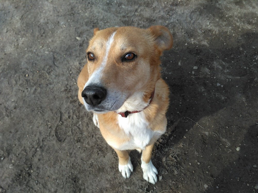 47319794_1177469772406574_5395636971513053184_o