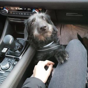 47389890_1178420422311509_678743336873361408_n