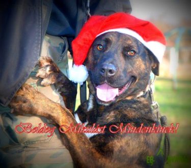 47572518_1181191992034352_8217734280906801152_n