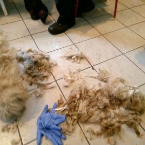 49566353_1204477673039117_8763101033355280384_n 49566353_1204477673039117_8763101033355280384_n