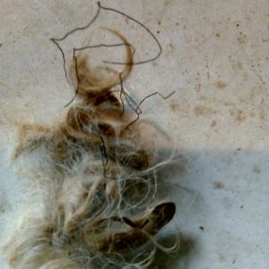 49597687_1204477726372445_7289216468099530752_n 49597687_1204477726372445_7289216468099530752_n