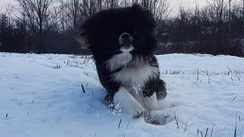 49766518_1206332892853595_1958135346126389248_n