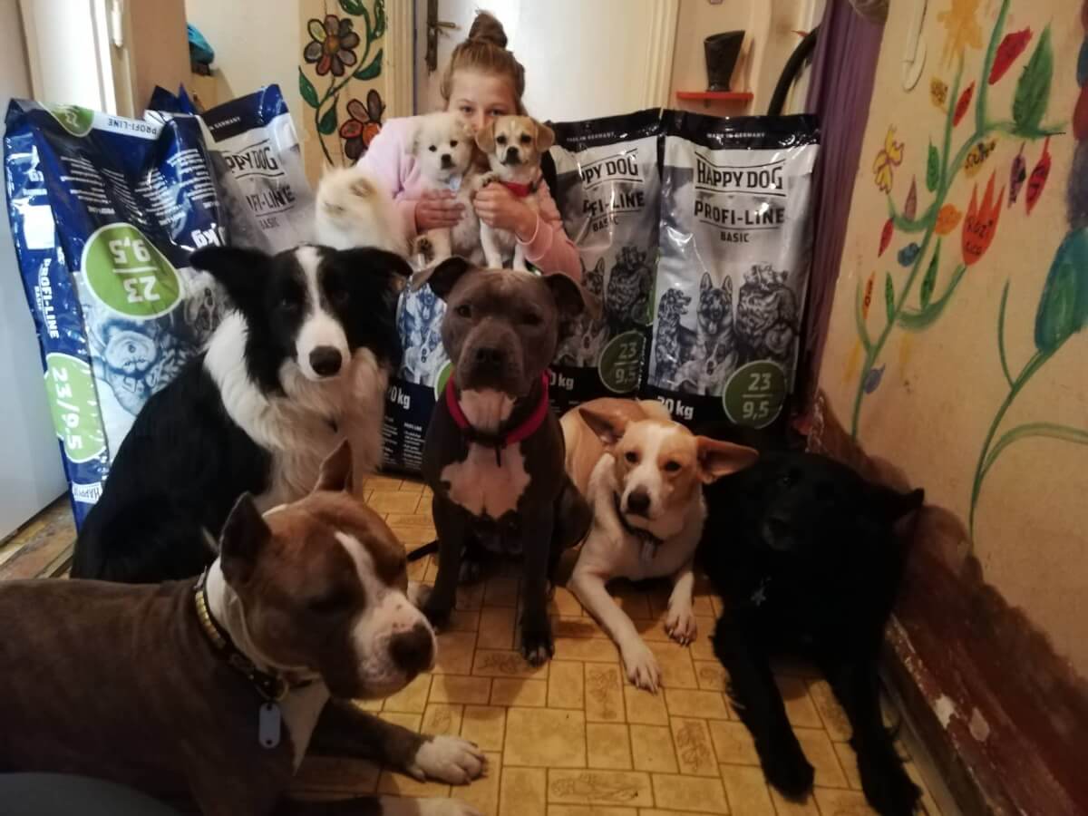 50750989_1217237708429780_1924272909136691200_o