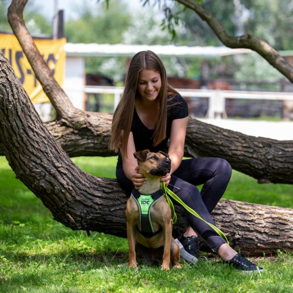 A62U3143_2 A62U3143_2