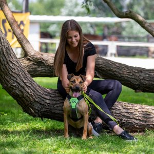 A62U3144_2 A62U3144_2