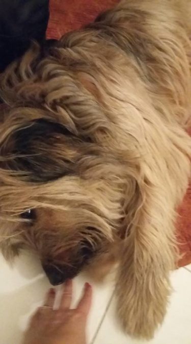 51229442_1223045744515643_2092624022138257408_n